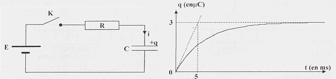 ergo13.gif