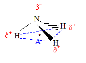 polaire1.gif