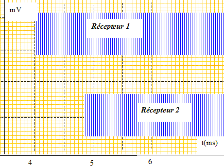 Ondes électromagnétiques - Rife