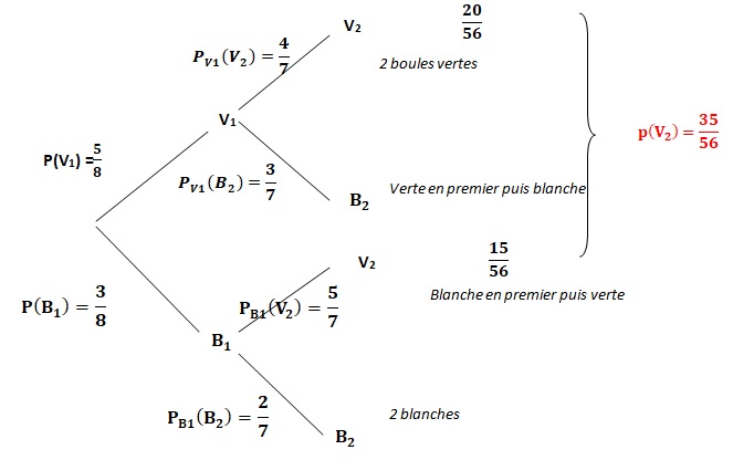 Specialite Mathematiques Bac General 2021