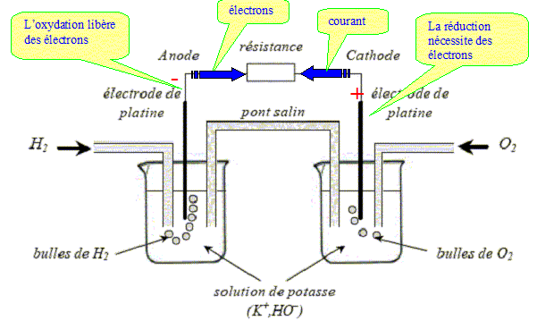 Génératrice manuelle / Piles à combustible / Physique